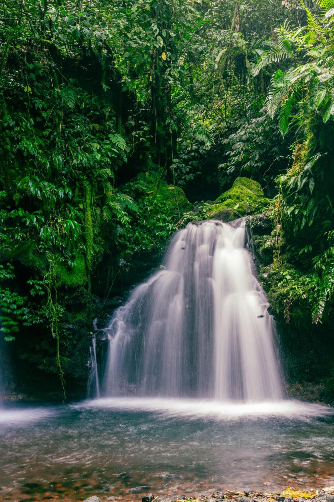 Santya Loka Lodge & Twin Waterfall Jatiluwih Exterior photo