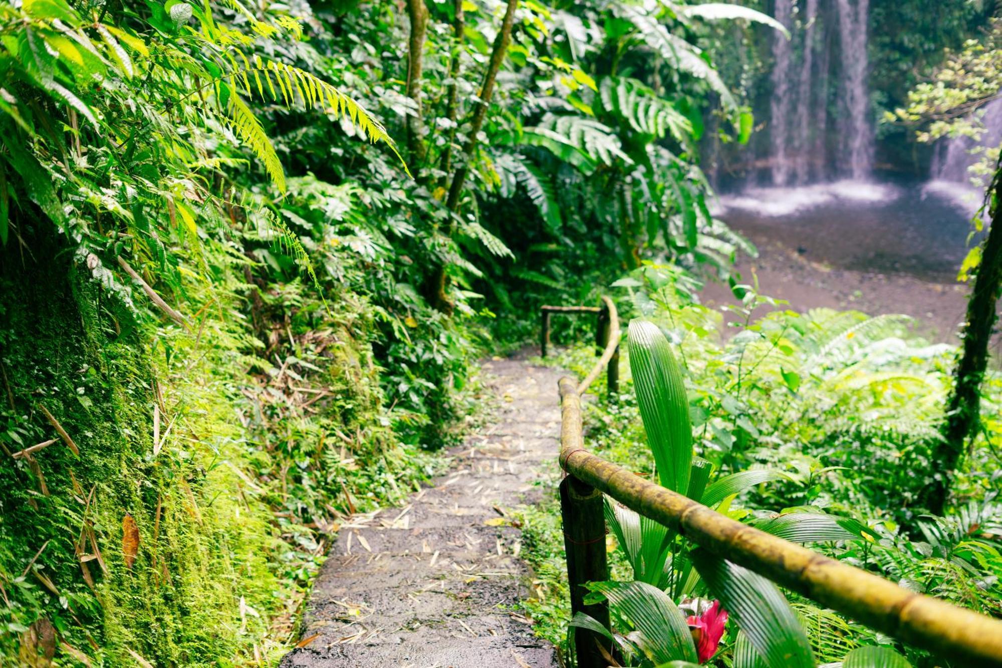 Santya Loka Lodge & Twin Waterfall Jatiluwih Exterior photo