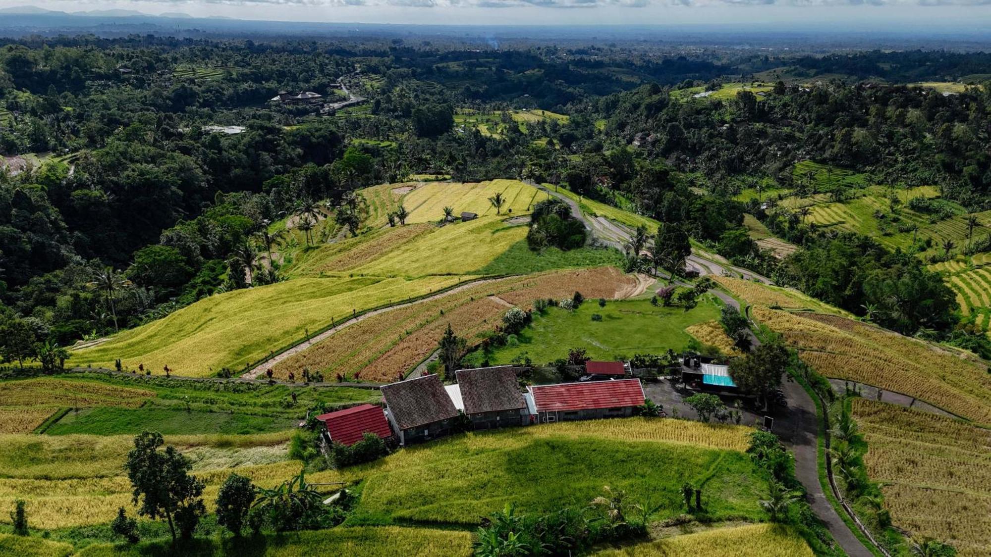 Santya Loka Lodge & Twin Waterfall Jatiluwih Exterior photo