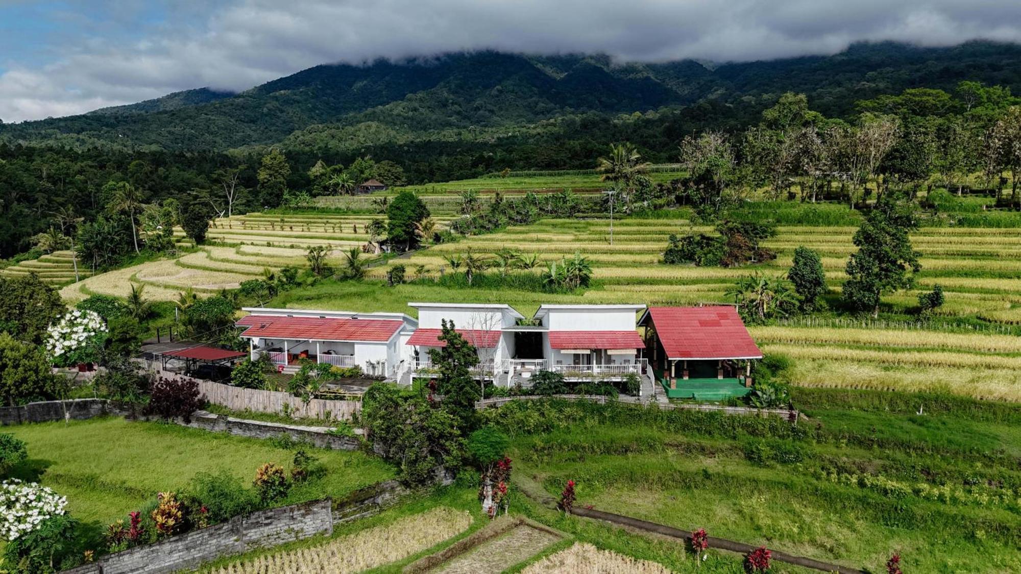 Santya Loka Lodge & Twin Waterfall Jatiluwih Exterior photo